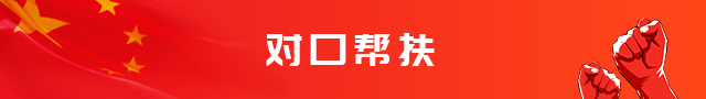 对口帮扶
