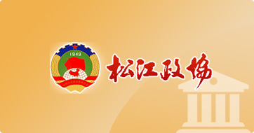 yh533388银河政协