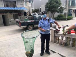 微信图片_20200904132420