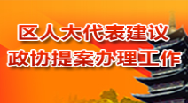 区人大代表建议和政协提案办理工作