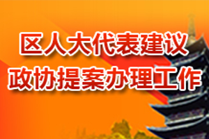 区人大代表建议和政协提案办理工作