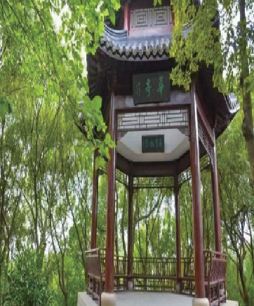 历史沿革