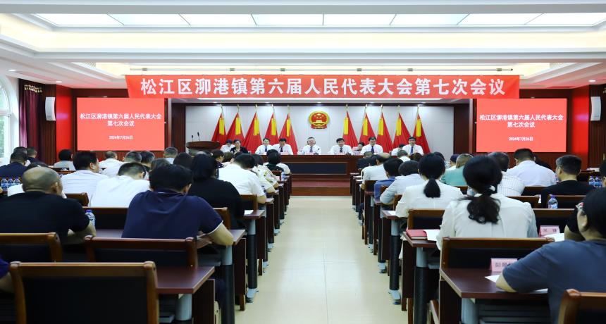 【基层动态】泖港镇第六届人民代表大会第七次会议胜利召开