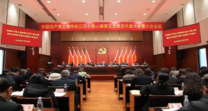 踔厉奋发 务实笃行——中共小昆山镇第五次党员代表大会第六次会议胜利召开