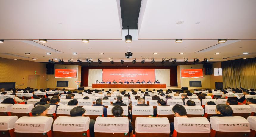 岳阳街道第三届社区代表大会第三次会议顺利召开
